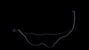digital art flash GIF by VIRTUTE