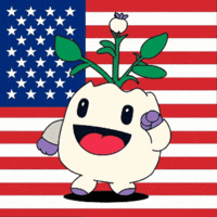 United States Usa GIF by Magic Eden