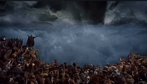 mikechisley water cake ass moses GIF