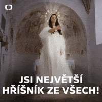 Ceska Televize GIF