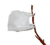 Ukraine Ecology Sticker by nikitaliskov