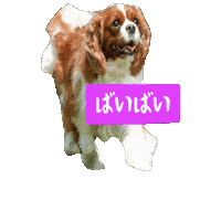 Dogs Love Sticker