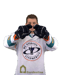 Sport Hokej Sticker by HCSTADION