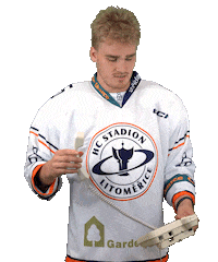 Sport Hokej Sticker by HCSTADION