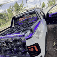 Bass Saveiro GIF