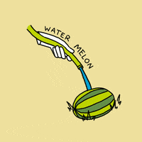 _tinoso watermelon tinoso GIF