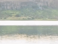 African Tigerfish Catches Swallow in Mid-Flight
