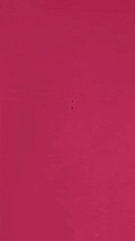 dianaarias_ giphyupload google google colombia nest mini GIF