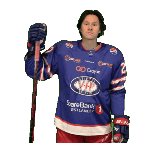 Stian Sticker by VIF Hockey