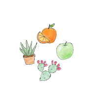 Vitamin C Oranges Sticker by Solara Suncare