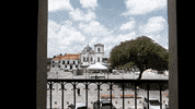 itsinacios animacao abertura documentario fasc GIF