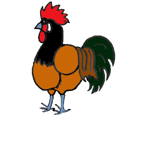 Rooster Hahn Sticker