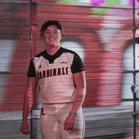 University Of Louisville Sport GIF by Louisville Cardinals