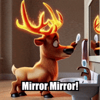 Mirror Mirror Pov GIF by elkijahspark