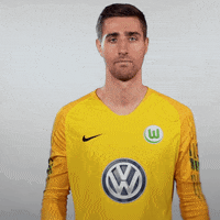 World Cup Football GIF by VfL Wolfsburg