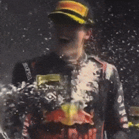 Nikola GIF