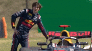 Nikola GIF