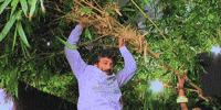 Excited Mahesh Babu GIF