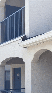 yaroslavastrutsynska giphyupload GIF