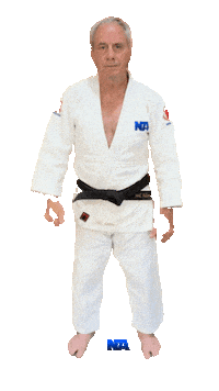 Martial Arts Thumbs Up Sticker by NA Effective Fighting