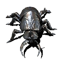 insects STICKER