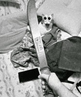Cat Screaming GIF