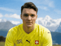 Young Boys Football GIF by Herr Fuchs Zurich