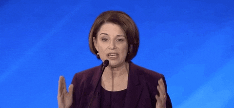 Democratic Debate GIF by GIPHY News