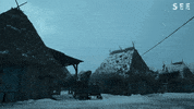 See Nesta Cooper GIF by Apple TV+
