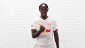 Rb Leipzig Football GIF by Bundesliga