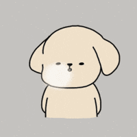 Fool GIF by haebom