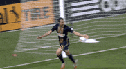celebration GIF by Philadelphia Union