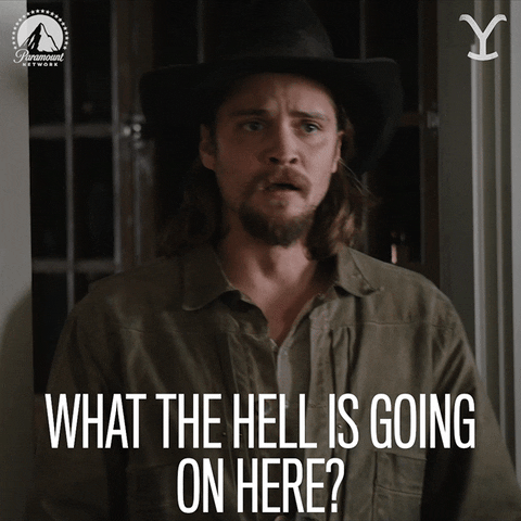Shocked Luke Grimes GIF by Yellowstone