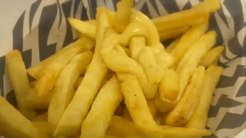 ThunderbirdFriedCkn giphyupload GIF