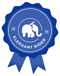 Elephantrider Sticker by ridersandelephants