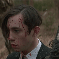 the birch horror GIF by Crypt TV