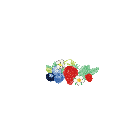 Twosomeplaceofficial giphyupload twosome twosomeplace 투썸 Sticker
