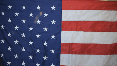 American Flag Usa GIF by thepanozzoteam