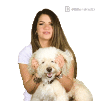 Billionaires_usa billionaires billionaires group vanessa garcia vane g Sticker