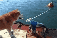 man drowning GIF