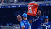 ohearn GIF by MLB