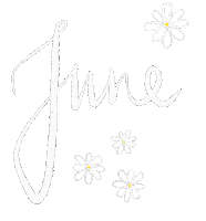 Summer Daisy Sticker