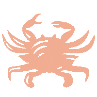 Crab Louisiana Sticker by Visit The Northshore