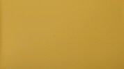 Cal State La Ncaa GIF by Cal State LA Golden Eagles
