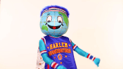 GIF by Harlem Globetrotters