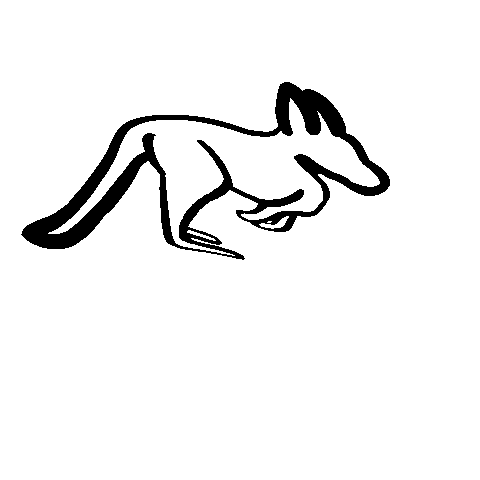 newktennis giphyupload kangaroo roo newks Sticker