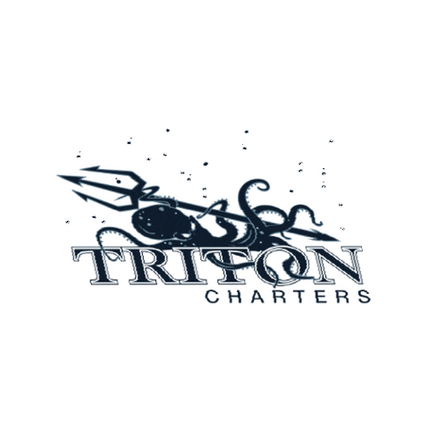 triton_charters giphygifmaker triton tritoncharters tritoncatamaran Sticker