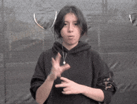 Asl Process GIF
