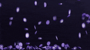 PlayLoveMonster make it rain love monster lmt love monster token GIF