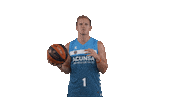 Liga Endesa Basketball Sticker by ACB